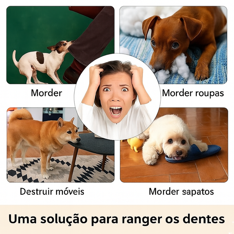 Bola Interativa de Borracha para Cães